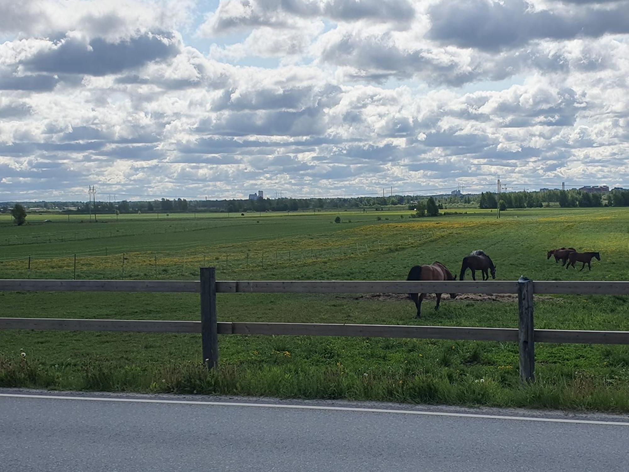 Siirilän tila Pensionat Seinäjoki Exteriör bild