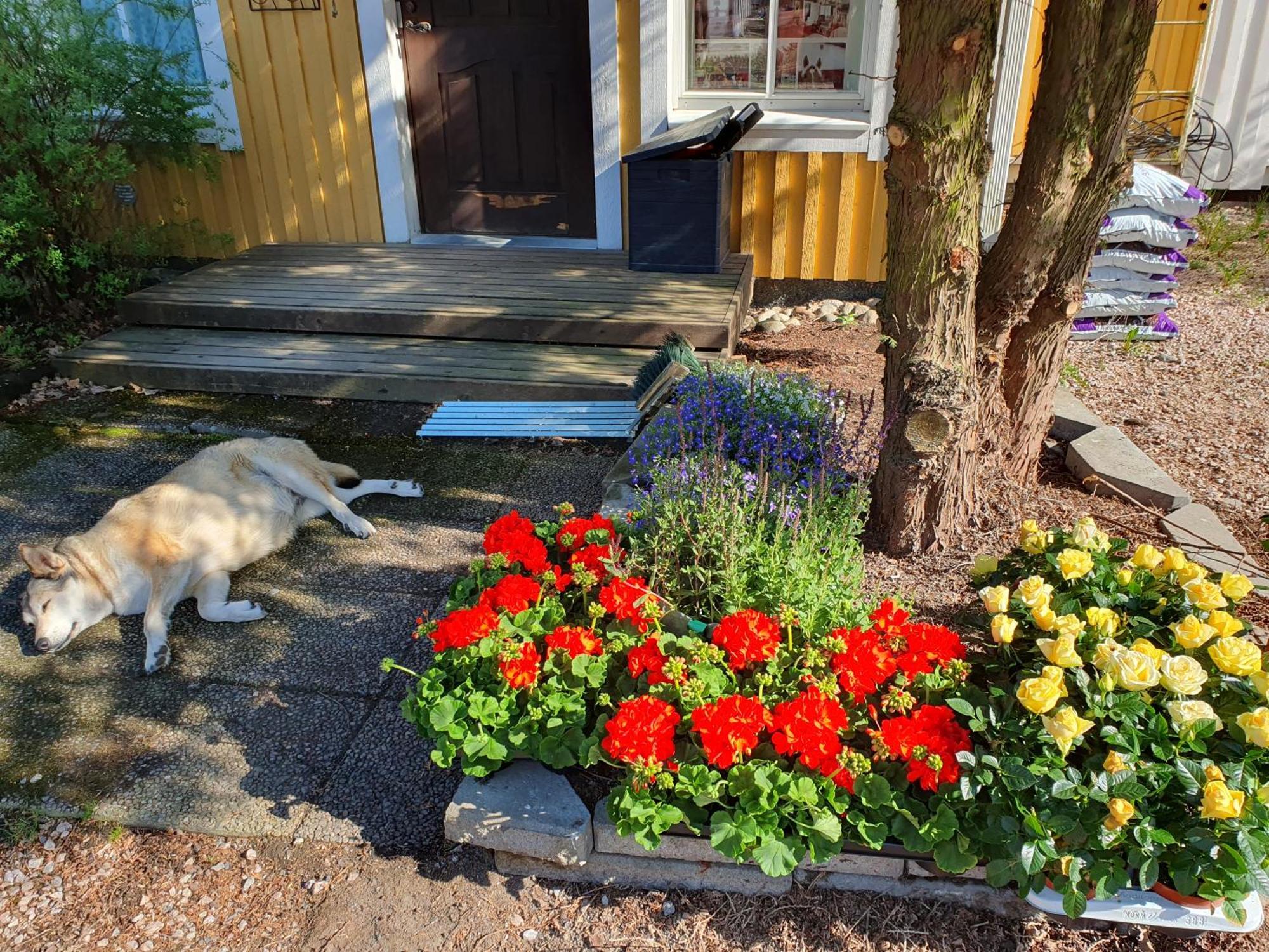Siirilän tila Pensionat Seinäjoki Exteriör bild