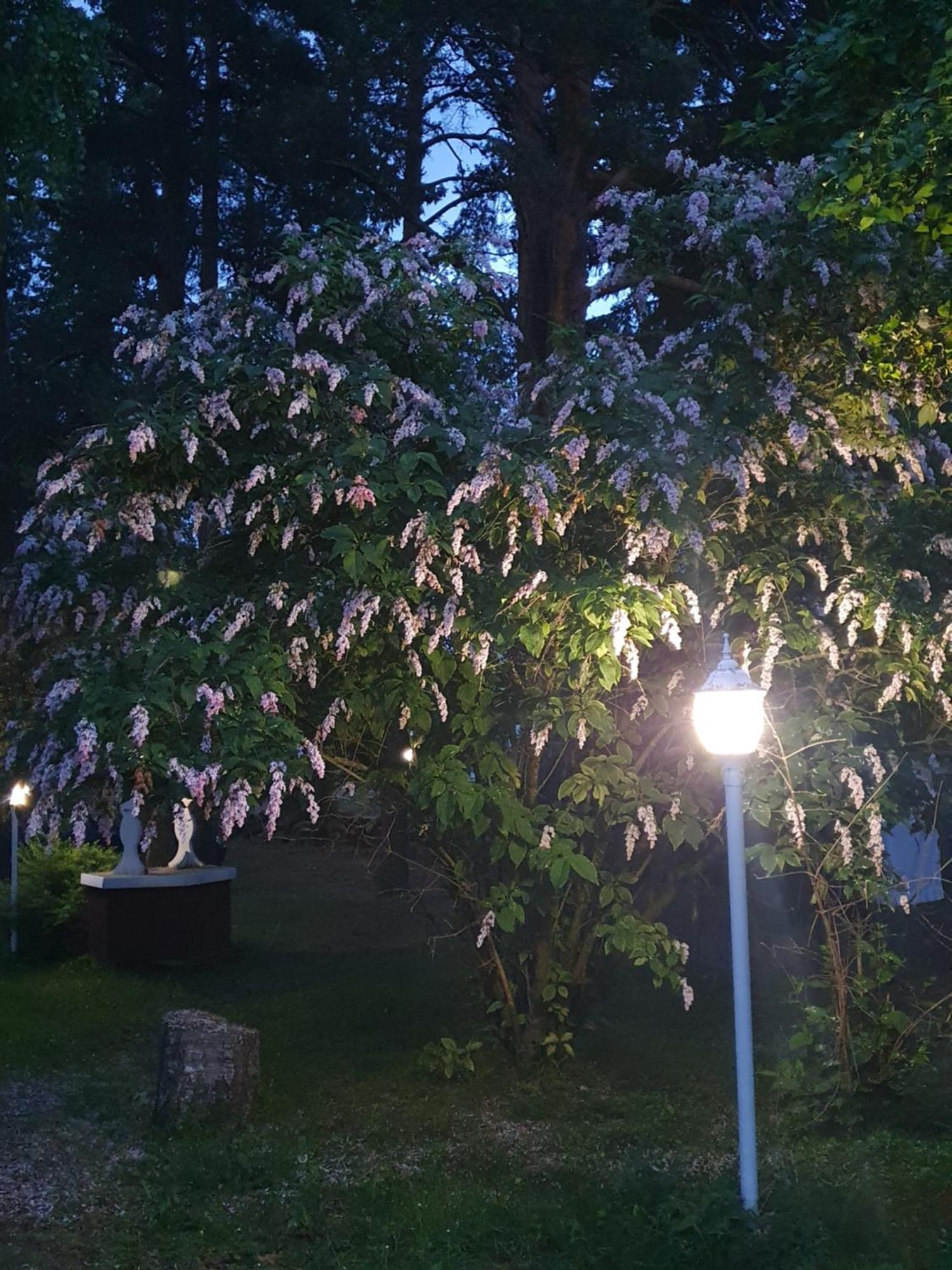 Siirilän tila Pensionat Seinäjoki Exteriör bild